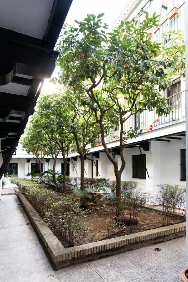 Apartamento Corazon De *